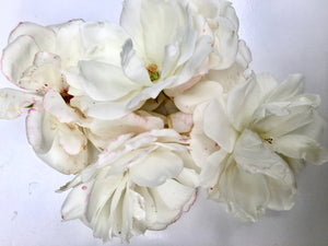 Make Your Own Rose Floral Toner